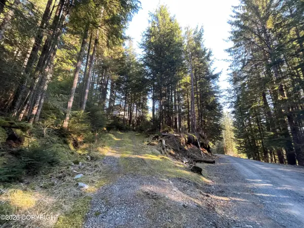 Tract 1 Nanny Bay Road, Hollis, AK 99921