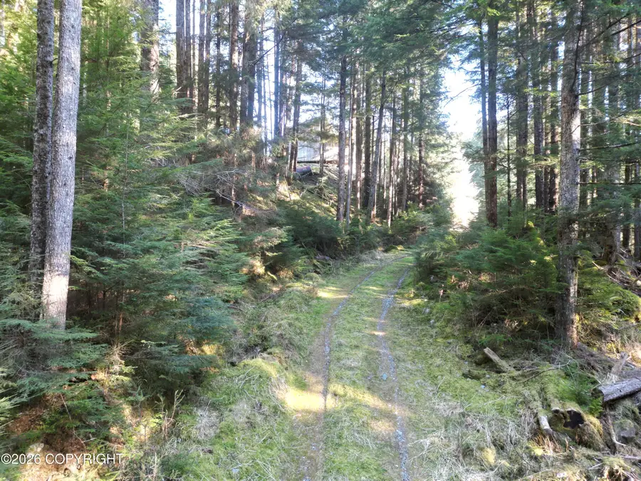 Tract 1 Nanny Bay Road, Hollis, AK 99921 - #2