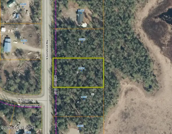 14521 N Sunnybrook Way, Willow, AK 99688