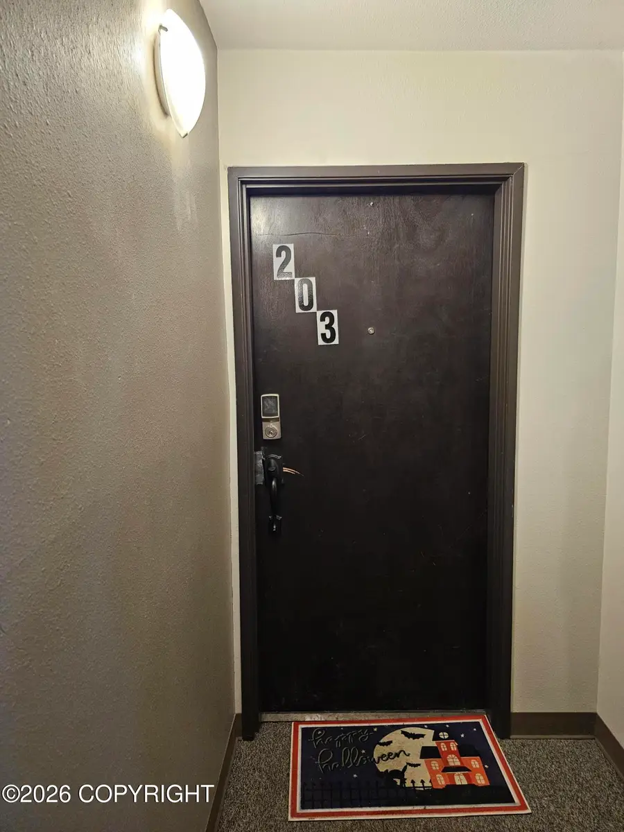 1620 Eastridge Drive #203, Anchorage, AK 99501 - #3