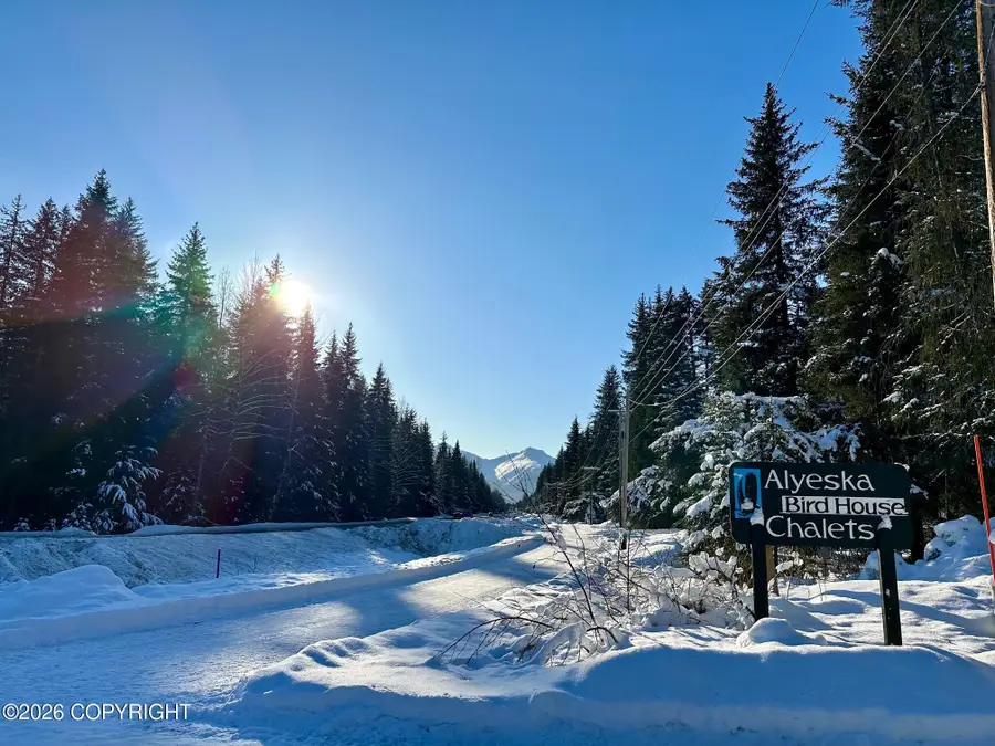 130 Birdhouse Loop, Girdwood, AK 99587 - #2
