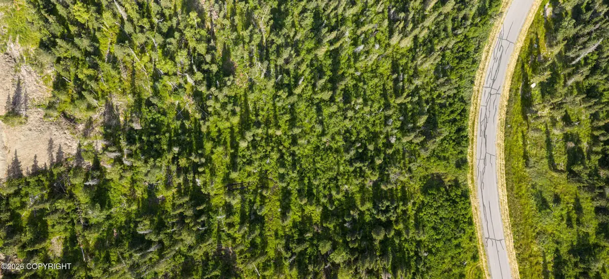 L4 Mountain Air Drive, Anchorage, AK 99516 - #1