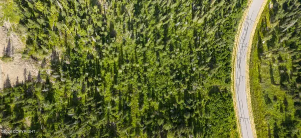 L4 Mountain Air Drive, Anchorage, AK 99516