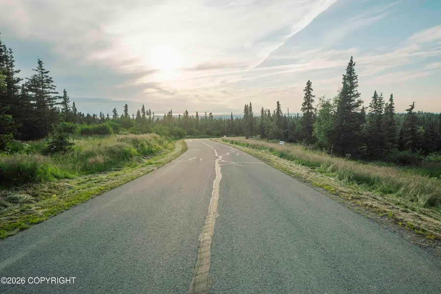 L4 Mountain Air Drive, Anchorage, AK 99516 - #2