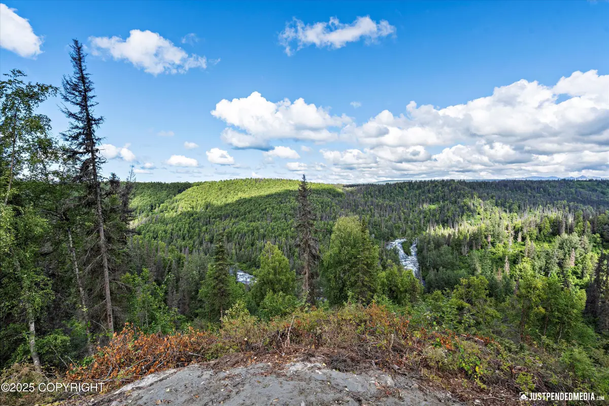 12431 W Snowberry Road, Willow, AK 99688 - #1