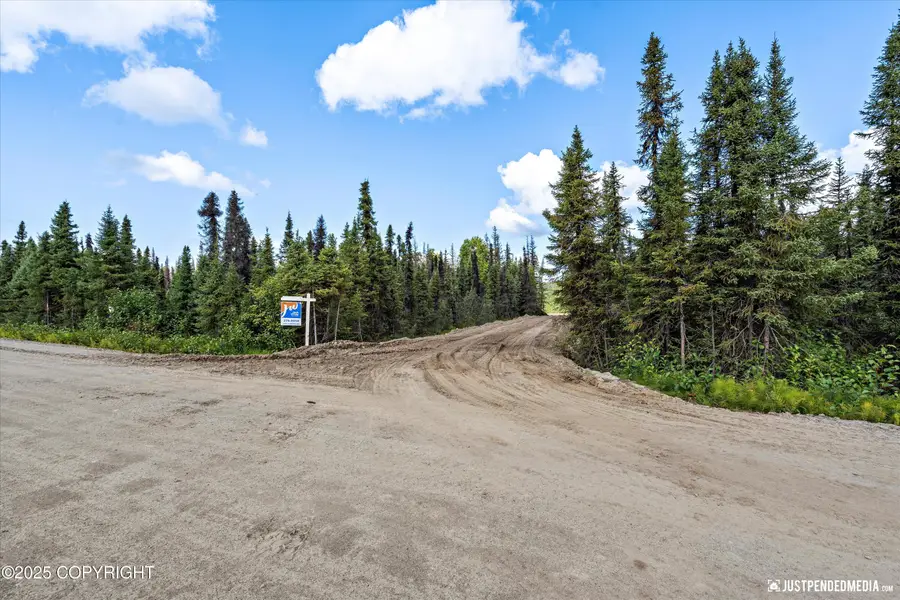 12431 W Snowberry Road, Willow, AK 99688 - #3