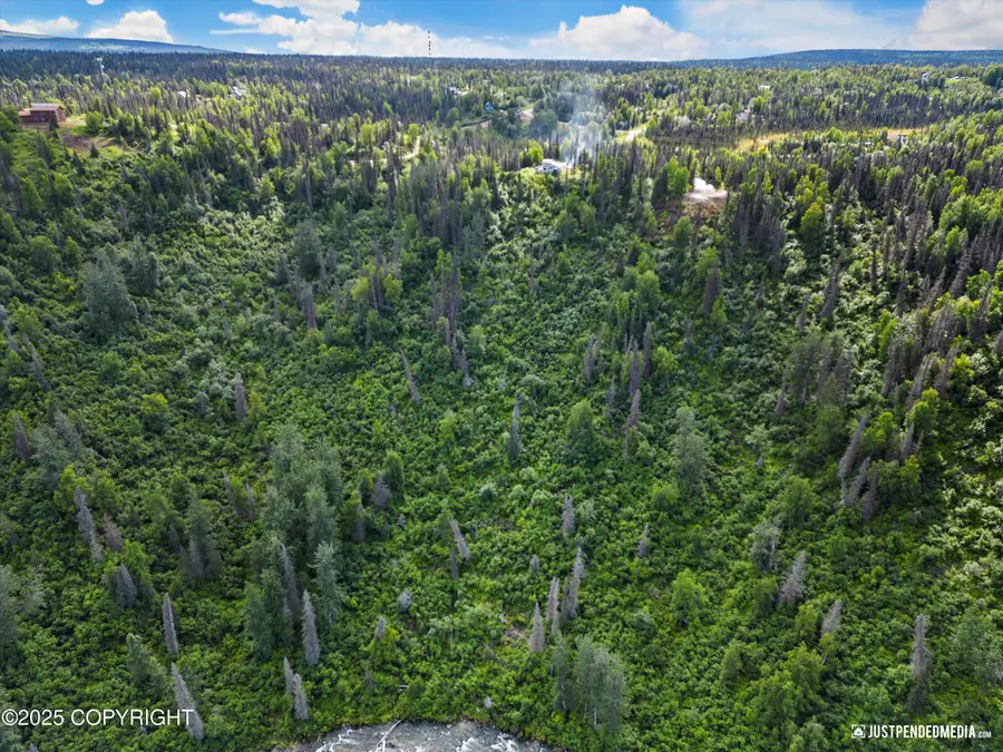 12643 W Snowberry Road, Willow, AK 99688 - #3