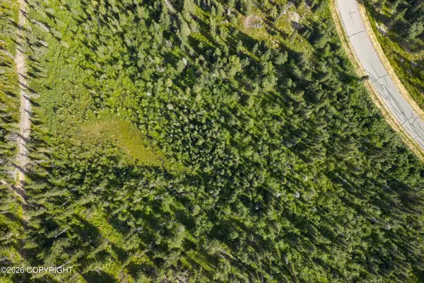 L5 Mountain Air Drive, Anchorage, AK 99516