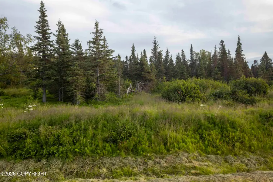 L5 Mountain Air Drive, Anchorage, AK 99516 - #2