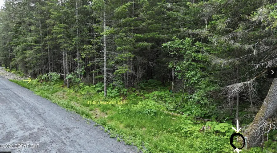 31885 Maxwell Court, Seward, AK 99664 - #3