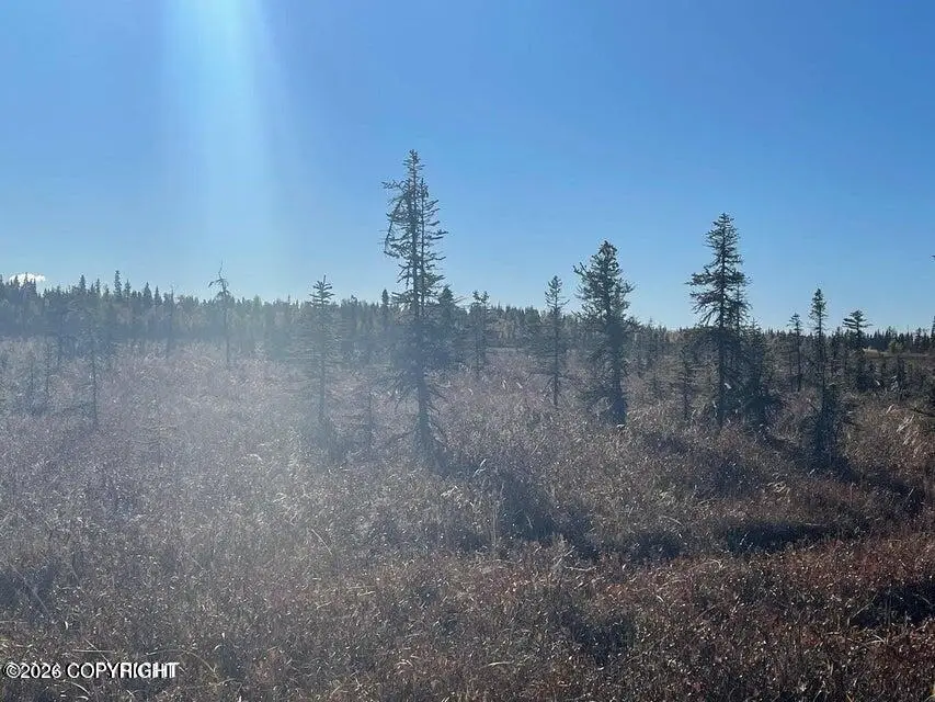 67280 St. John Road, Happy Valley, AK 99556 - Image #2
