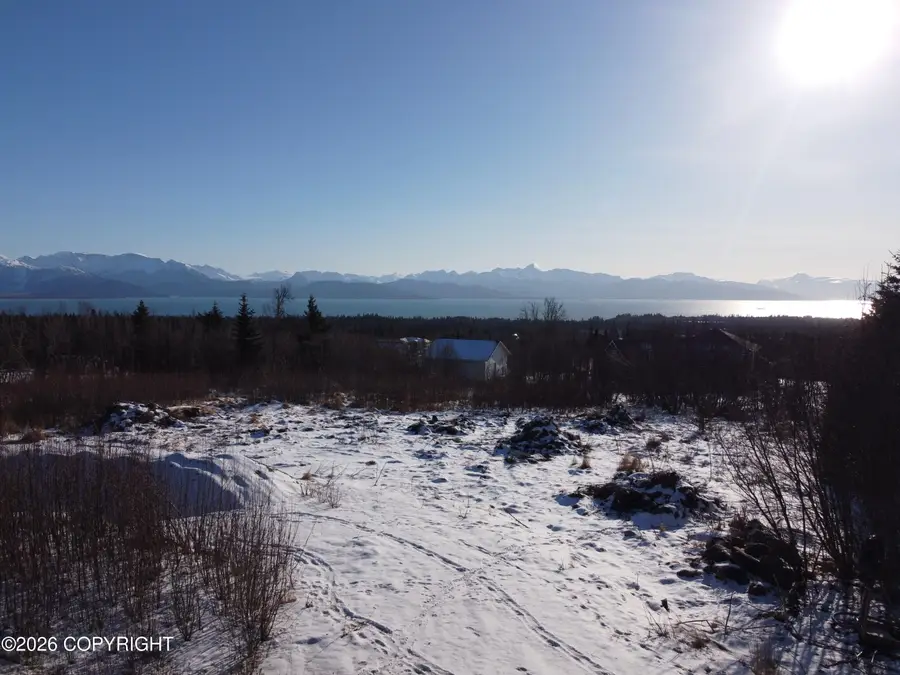 55049 Bonnie Avenue, Homer, AK 99603 - #2
