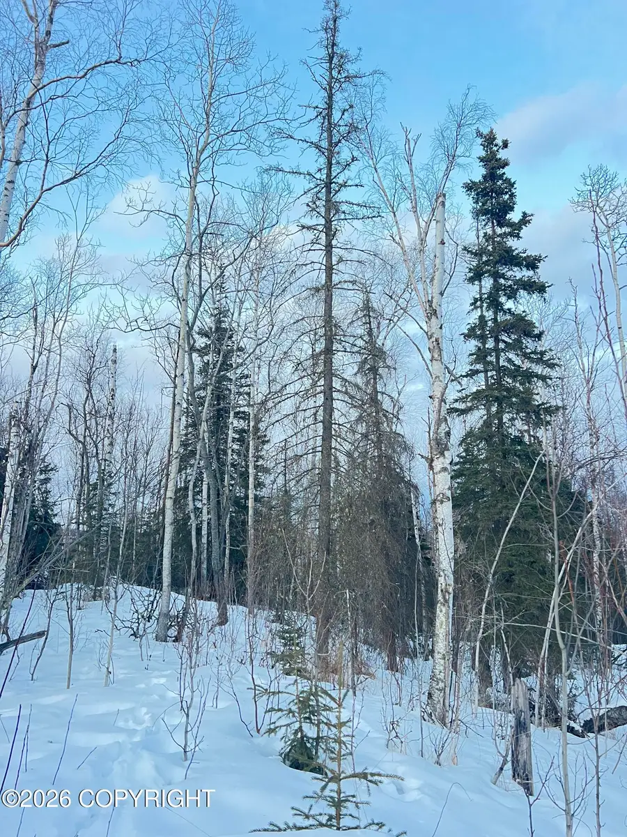 7181 W Vandenberg Drive, Wasilla, AK 99623 - #2