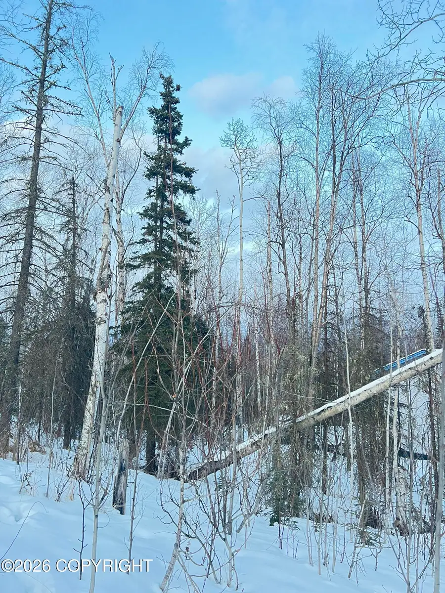 7181 W Vandenberg Drive, Wasilla, AK 99623 - #3