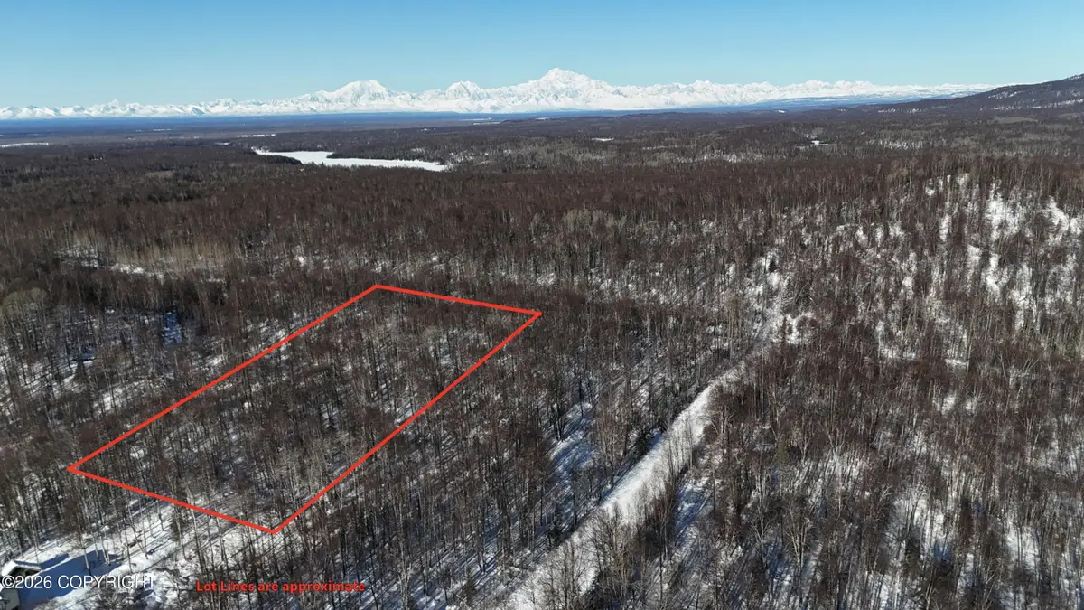 16874 E Birch Creek Boulevard, Talkeetna, AK 99676 - #1