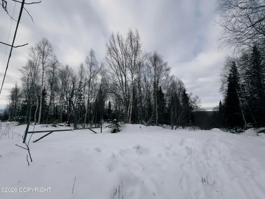 0000 Griffin Road, Anchorage, AK 99516 - #3