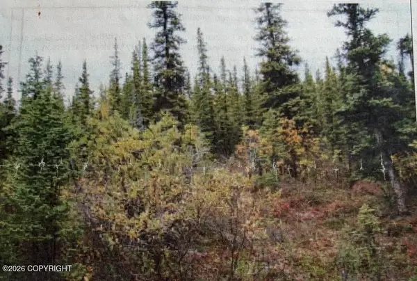 Trt 20 Asls 2009-46, Glennallen, AK 99588