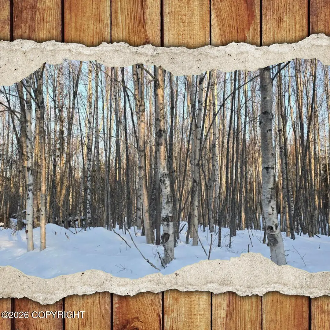 L15 B3 Martille Avenue, Nikiski, AK 99611 - #1