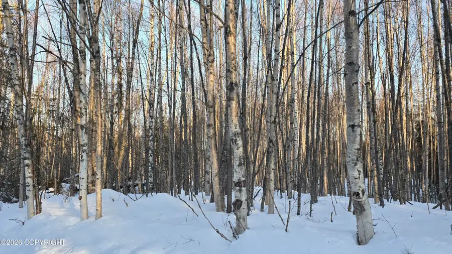 L15 B3 Martille Avenue, Nikiski, AK 99611 - #2