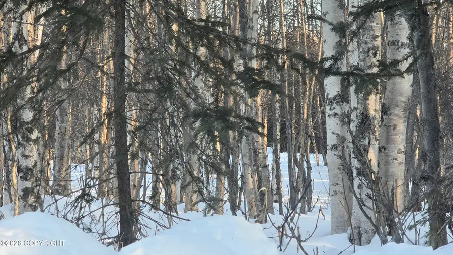 L15 B3 Martille Avenue, Nikiski, AK 99611 - #3