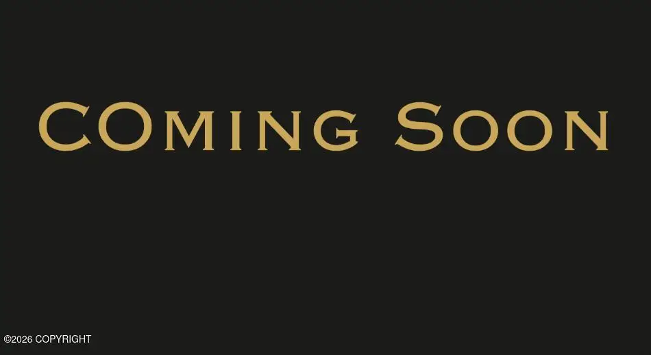 9241 Sea Parrot Circle, Anchorage, AK 99515 - #1