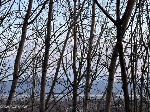 7000 W Moose Ridge Circle, Wasilla, AK 99623