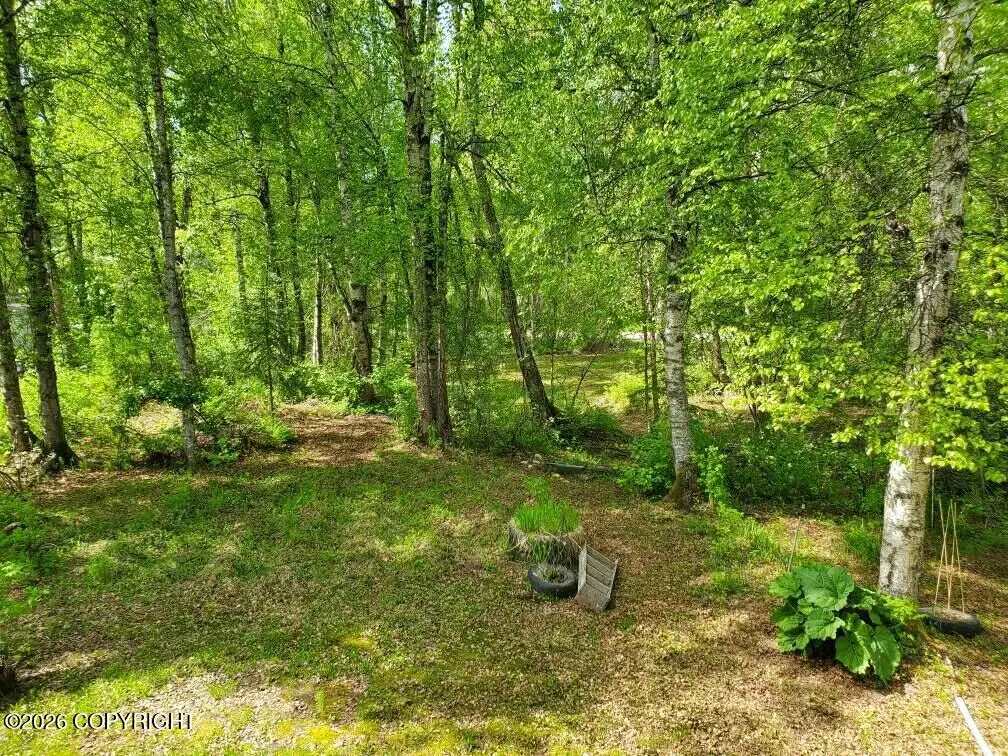 22107 S I Street, Talkeetna, AK 99676 - #1