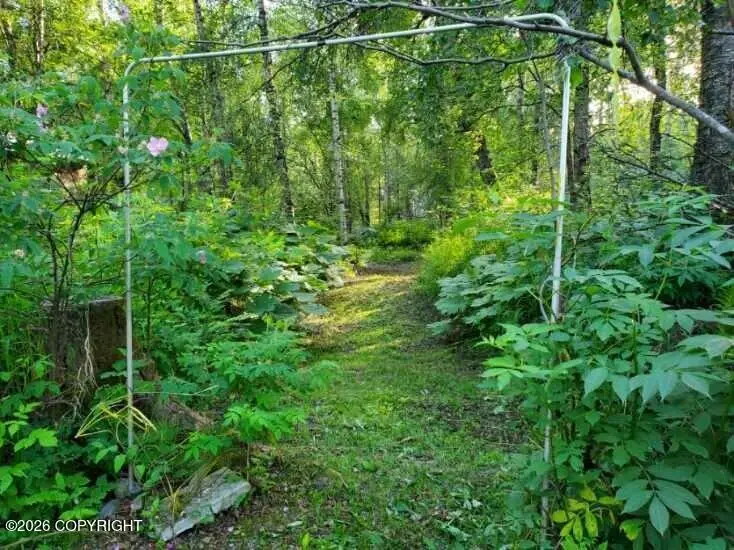 22107 S I Street, Talkeetna, AK 99676 - #3