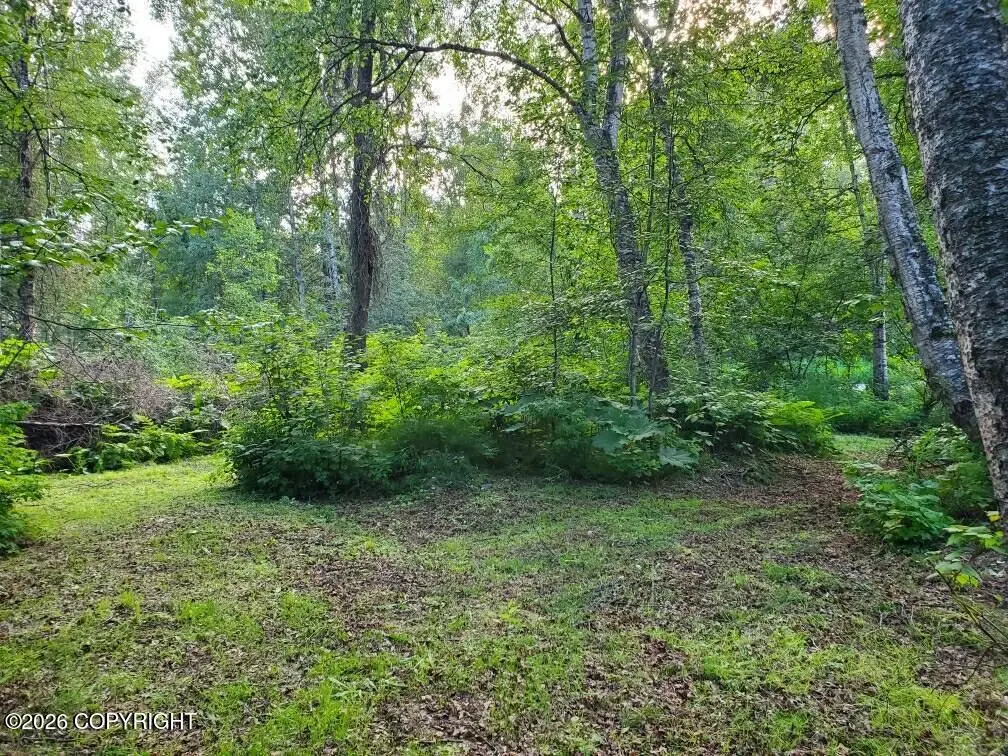 22129 S I Street, Talkeetna, AK 99676 - #1