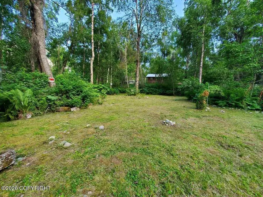 22129 S I Street, Talkeetna, AK 99676 - #3