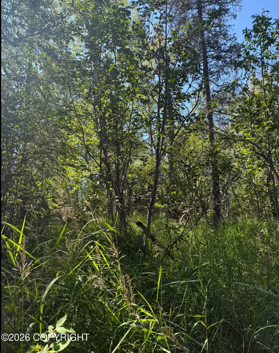 35682 Violet Circle, Point Possession, AK 99611 - #2