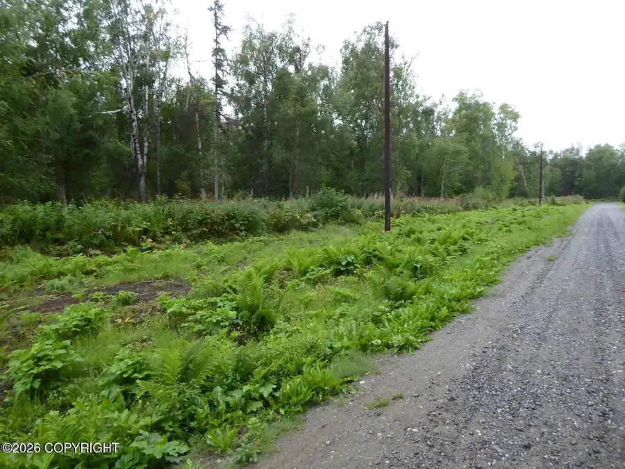 11000 E Jewel Hillstrom Road, Trapper Creek, AK 99683 - #3