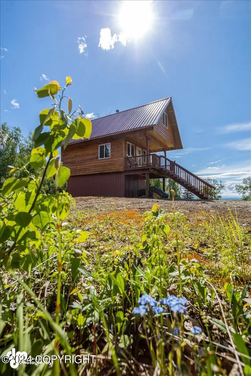 24863 E No Road Trail, Willow, AK 99688 - #3