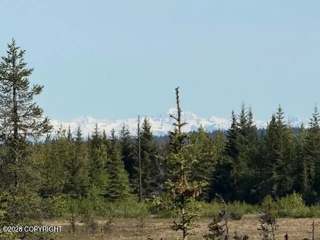 71252 Siri Court, Anchor Point, AK 99556 - #3