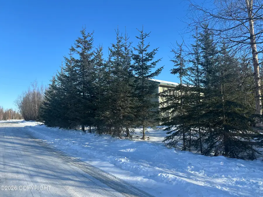 8910 W Mcquire Lane, Wasilla, AK 99623 - #3