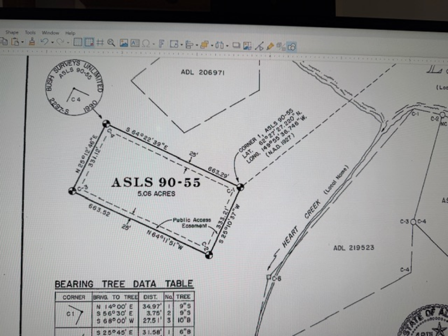 90055 N Remote Trail, Talkeetna, AK 99676 - #2