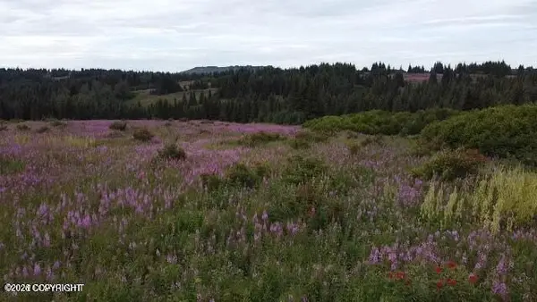 61188 Master Avenue, Homer, AK 99603