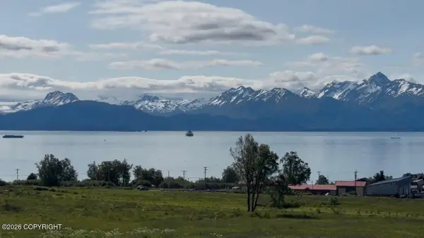 41494 Wandering Street, Homer, AK 99603