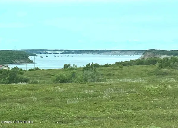 81 Lynx Loop, Naknek, AK 99633