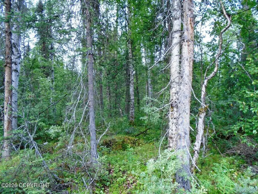 20026 E Deep Woods Way, Willow, AK 99688 - #3
