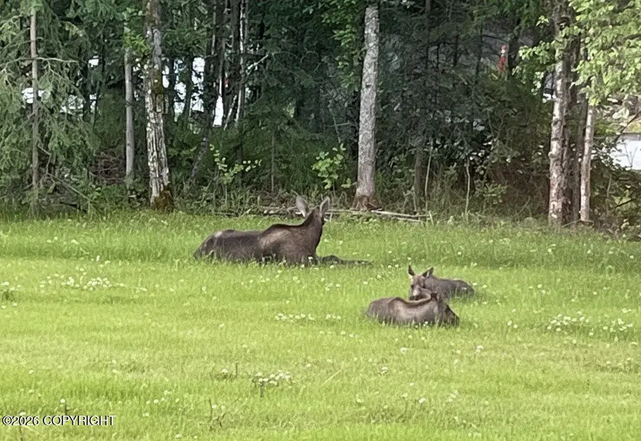 2320 Glacier Street, Anchorage, AK 99508 - #2