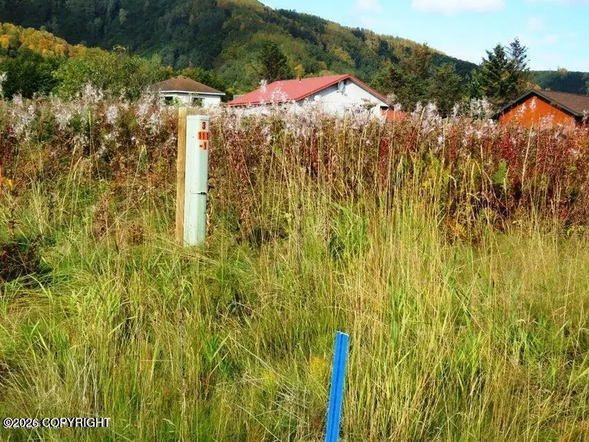 58996 E End Road, Homer, AK 99603 - #3