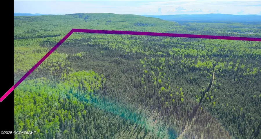 TRACT A Section 20 Ascs 1s, Fairbanks, AK 99712 - Image #3