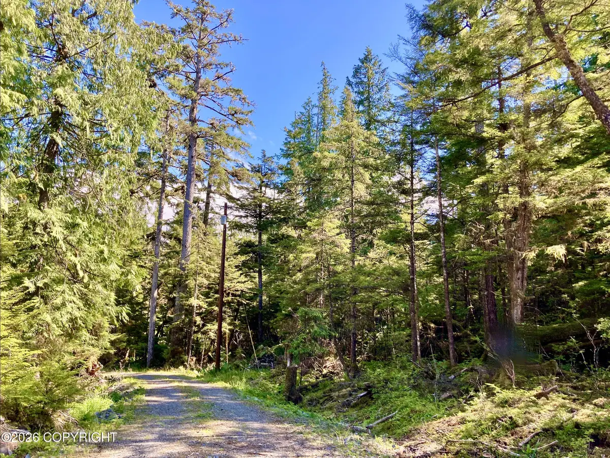 510 NE Clarence Strait Drive, Coffman Cove, AK 99918 - #1