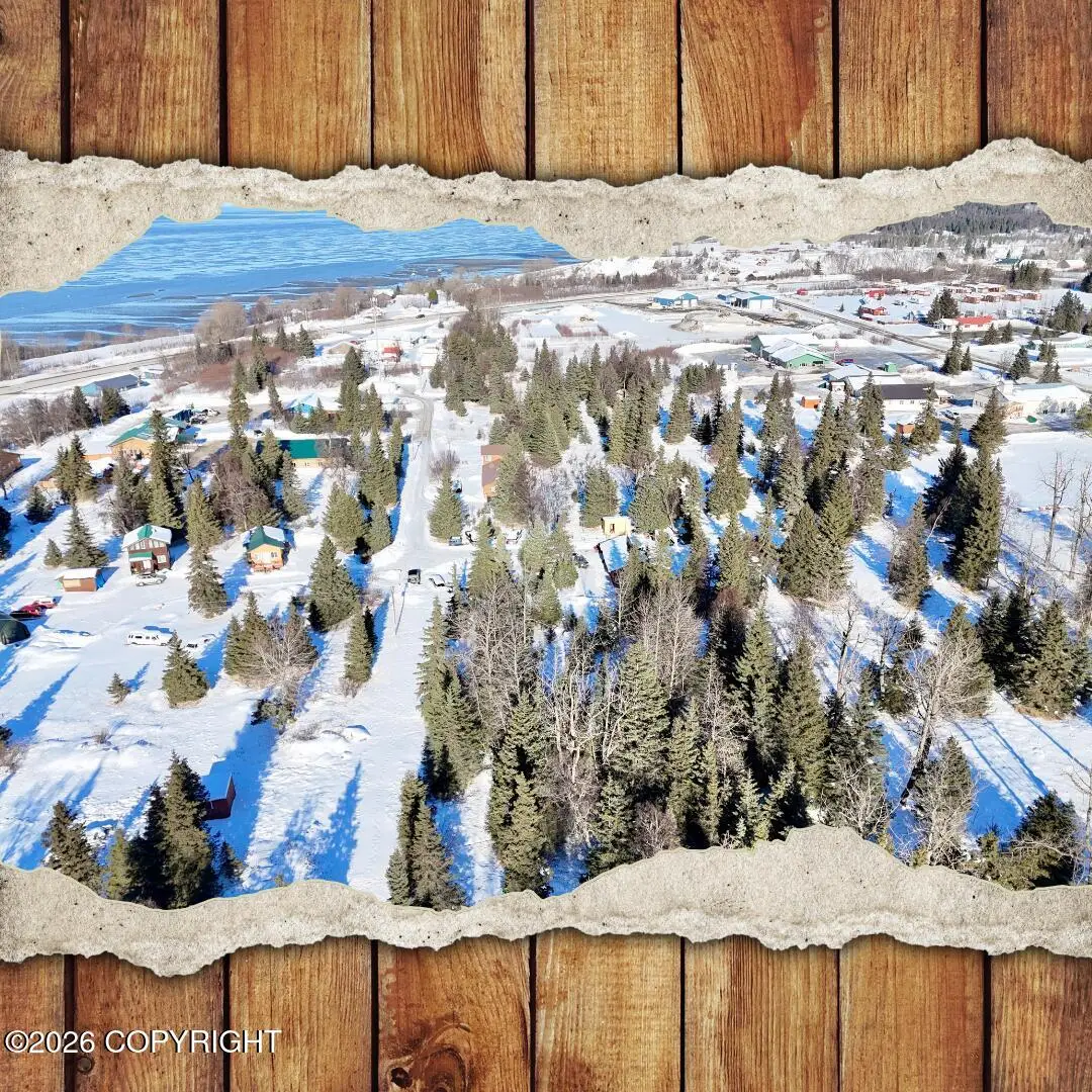 L4 Garroutte Street, Ninilchik, AK 99639 - #1