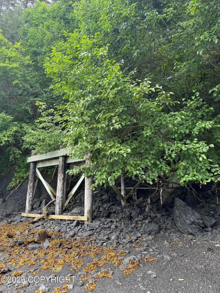 000 Bear Cove, Homer, AK 99603 - Image #3