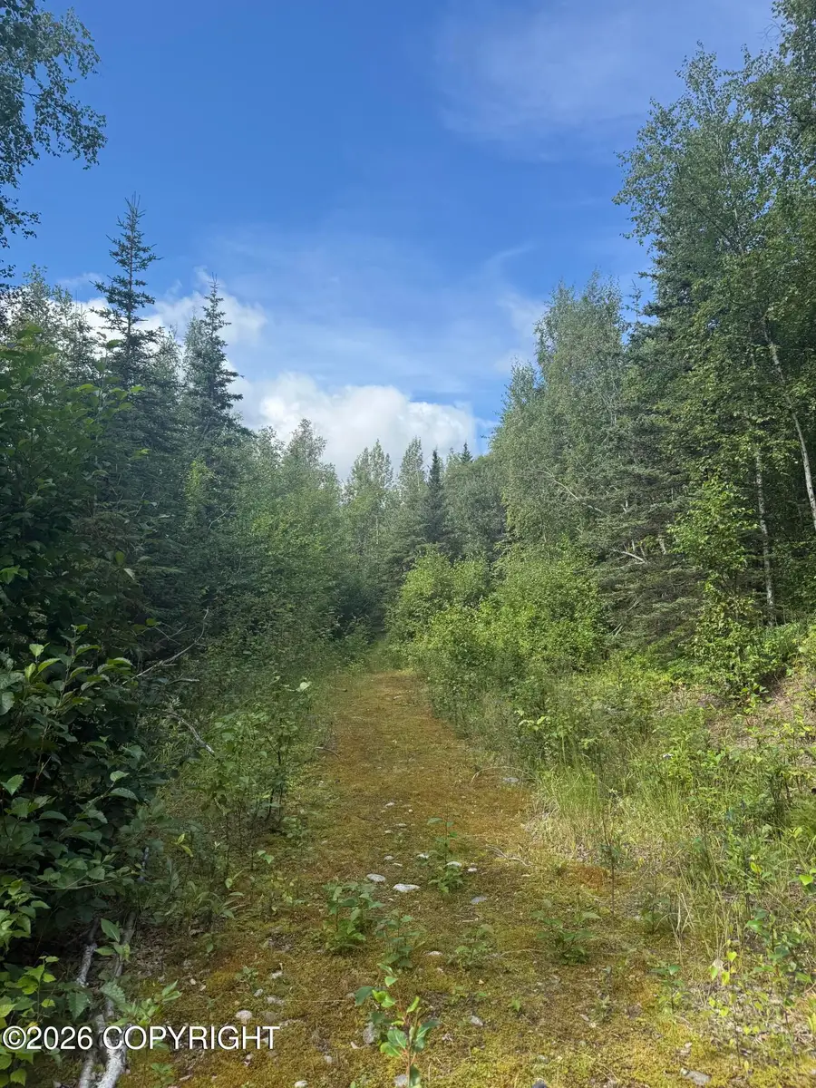 17 Lots W Russ Drive, Wasilla, AK 99654 - #3
