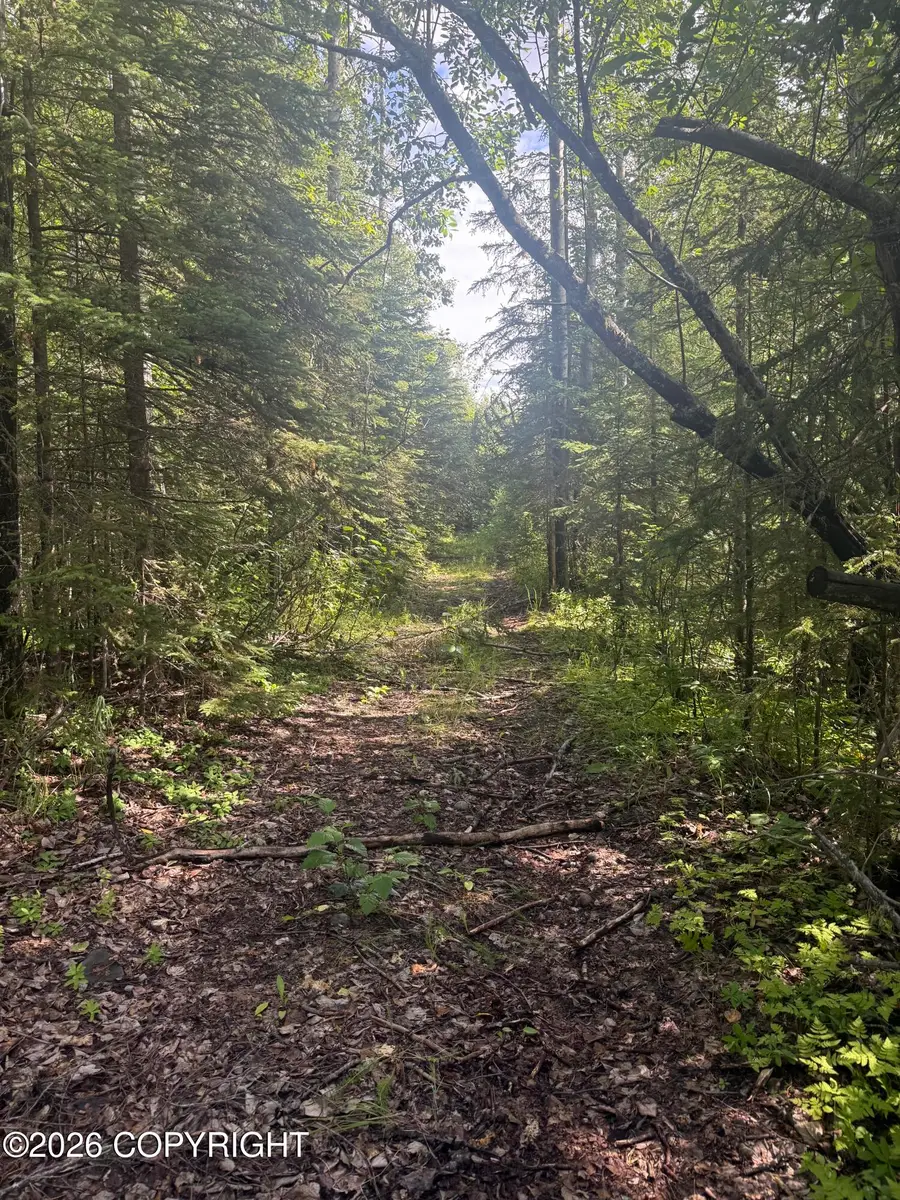 6947 W Russ Drive, Wasilla, AK 99623 - #3