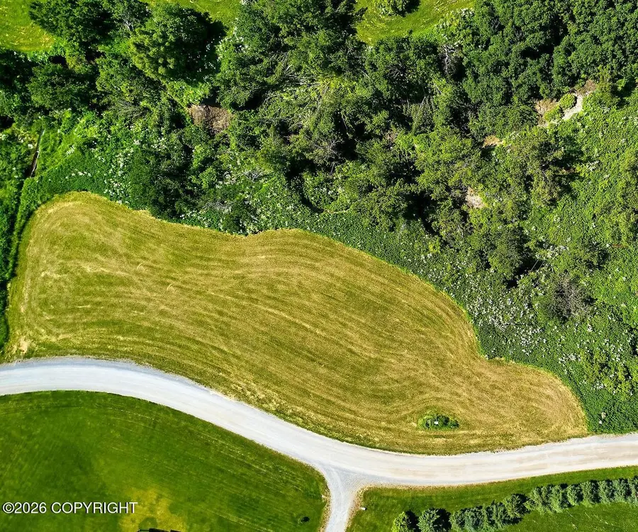 000 Morning Star Road, Homer, AK 99603 - #3