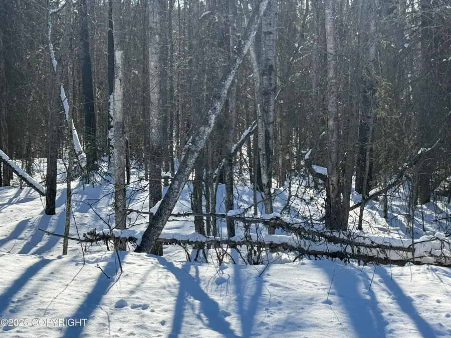 21652 W Parks Highway, Houston, AK 99694 - #2